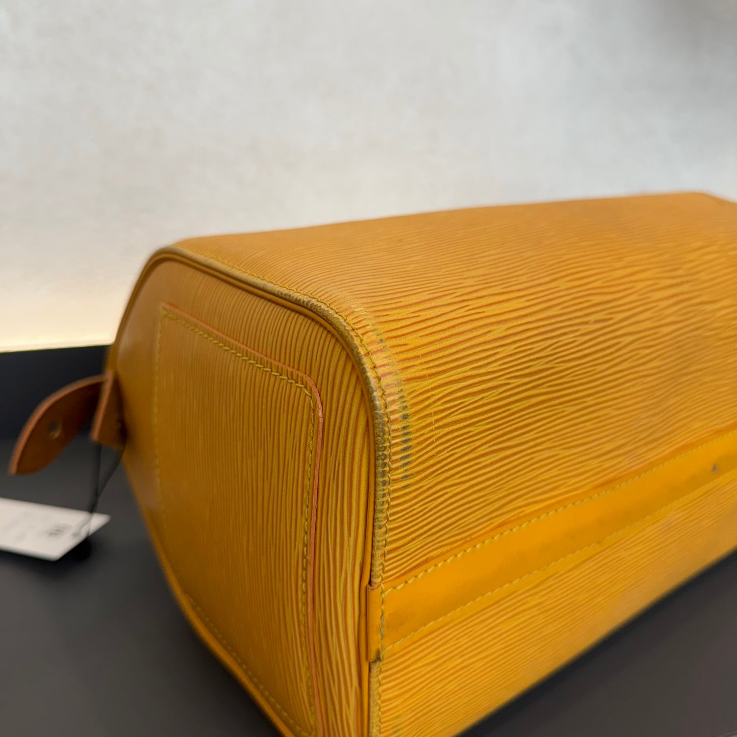 Louis Vuitton Speedy Épi