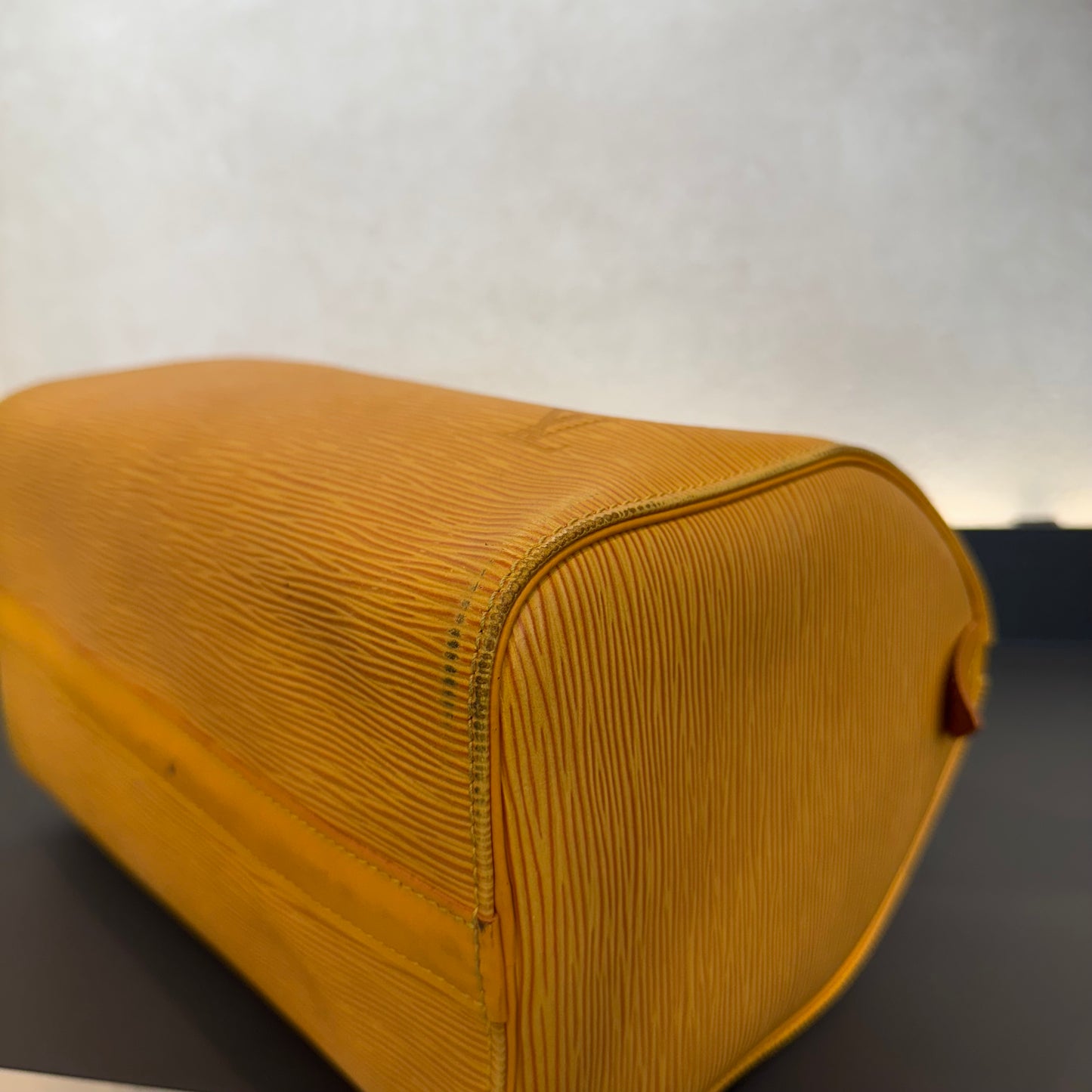Louis Vuitton Speedy Épi