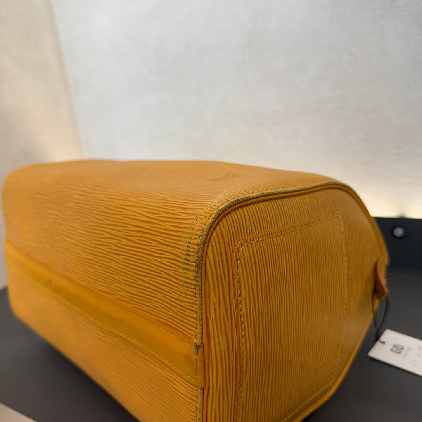 Louis Vuitton Speedy Épi