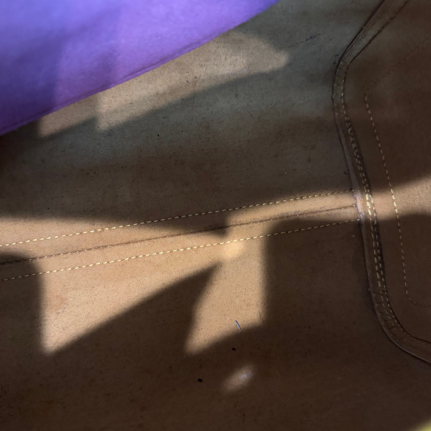 Louis Vuitton Speedy Épi