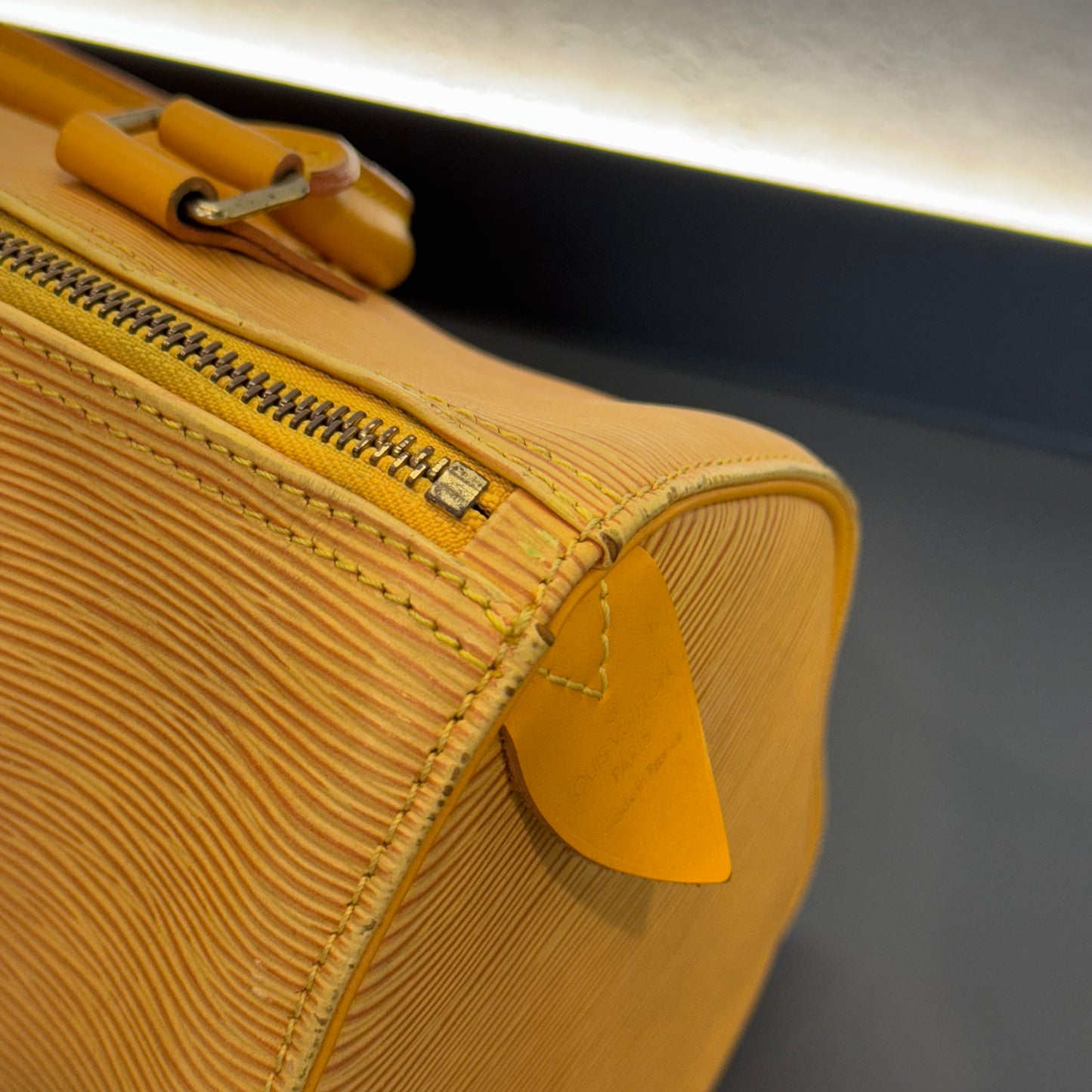 Louis Vuitton Speedy Épi