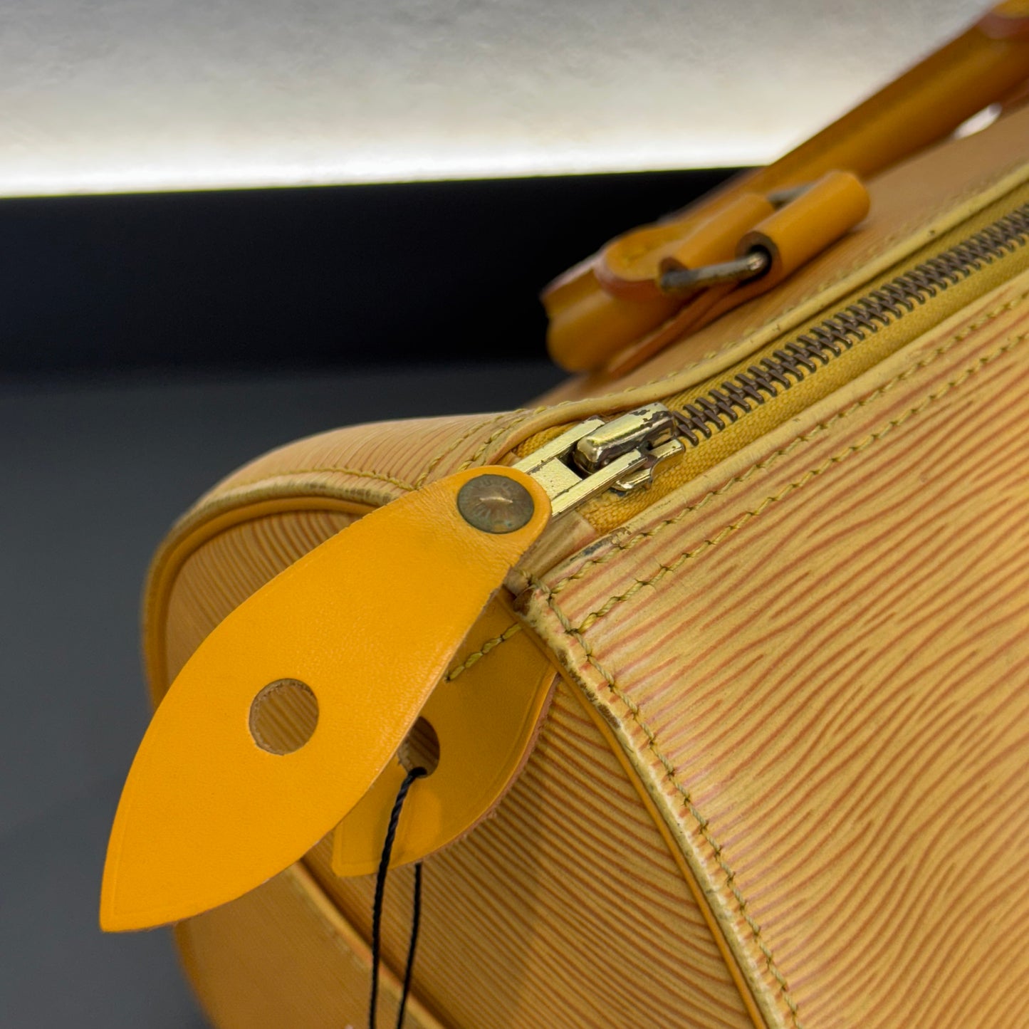 Louis Vuitton Speedy Épi