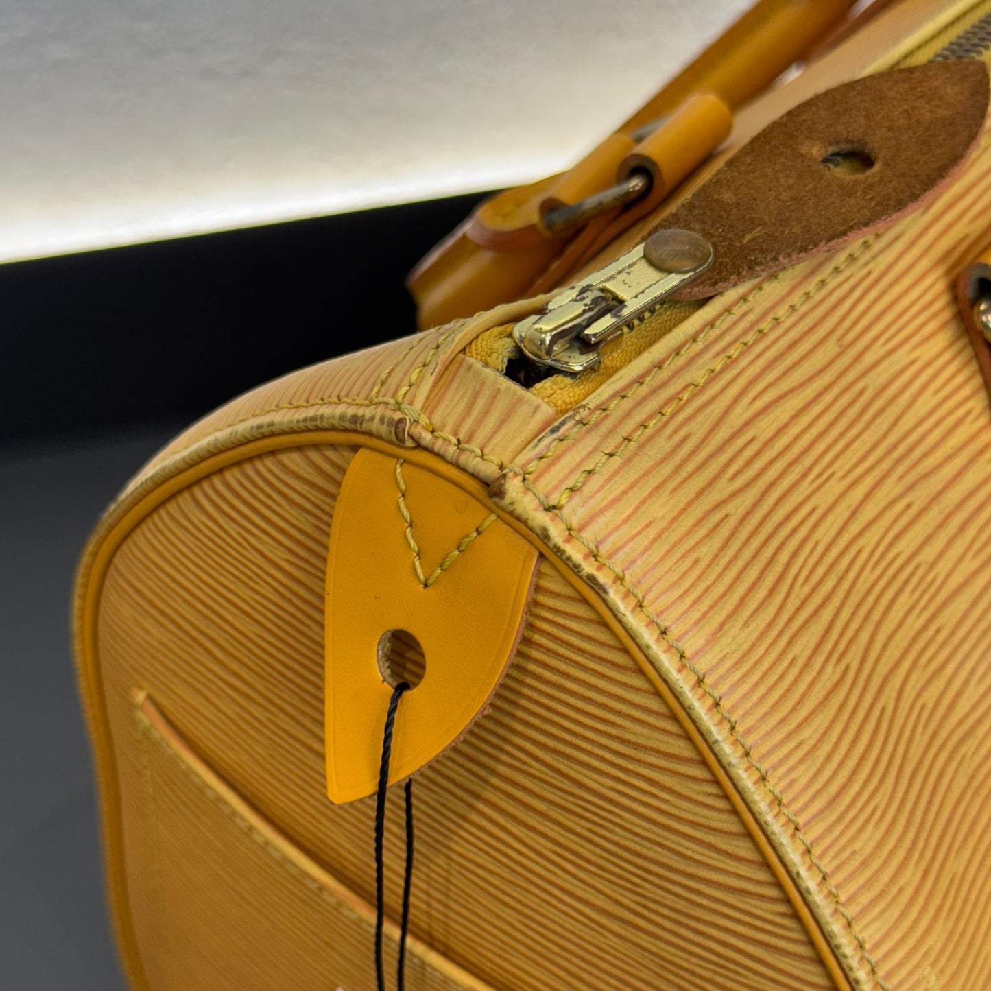 Louis Vuitton Speedy Épi