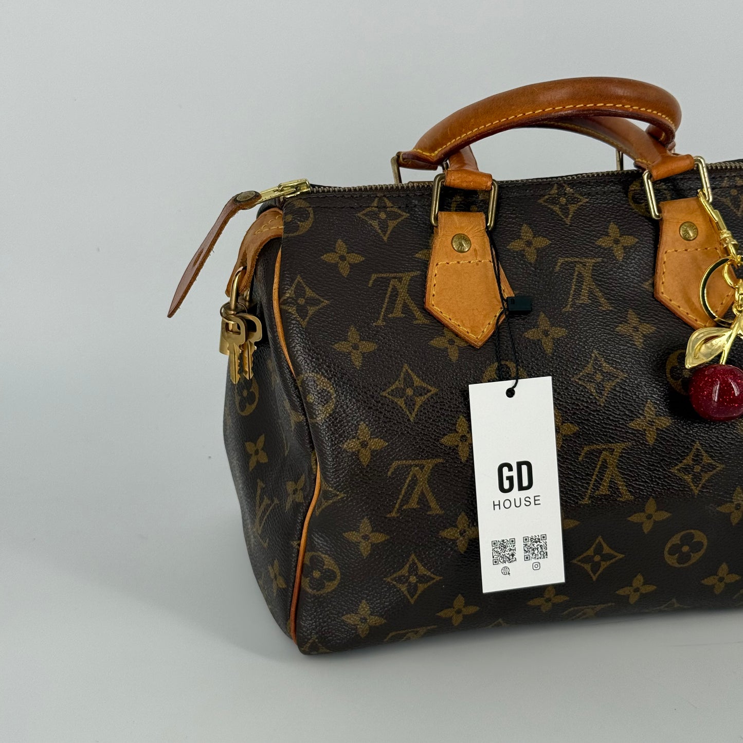 Louis Vuitton Speedy 25