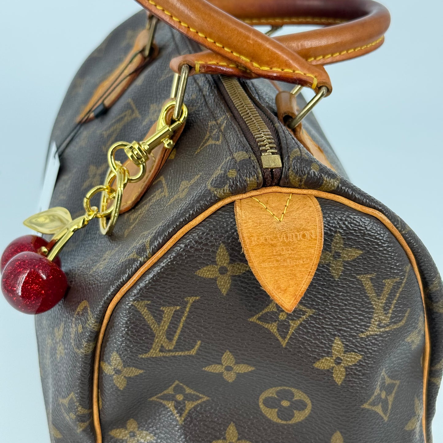 Louis Vuitton Speedy 25
