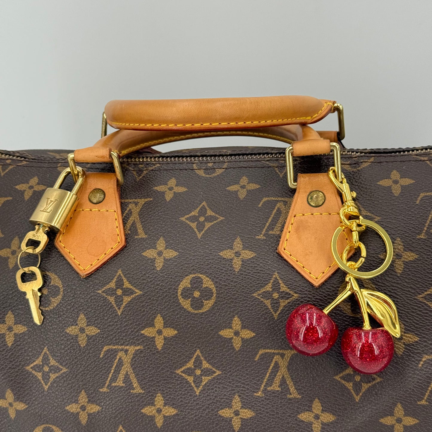 Louis Vuitton Speedy 35
