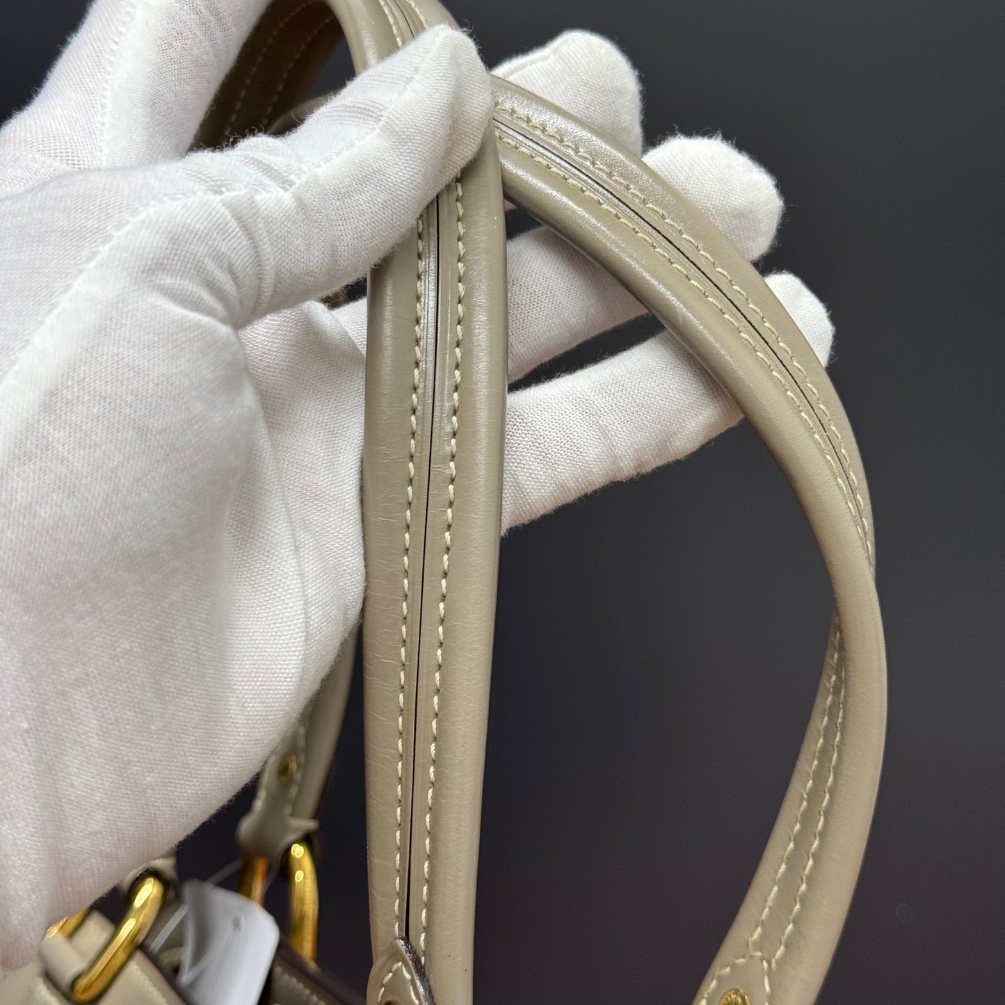 Louis Vuitton Le Radieux