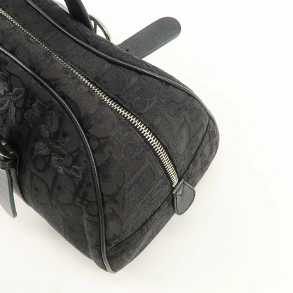 Christian Dior Trotter