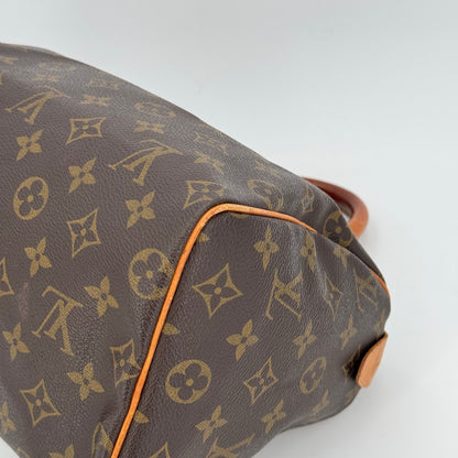 Louis Vuitton Speedy 25
