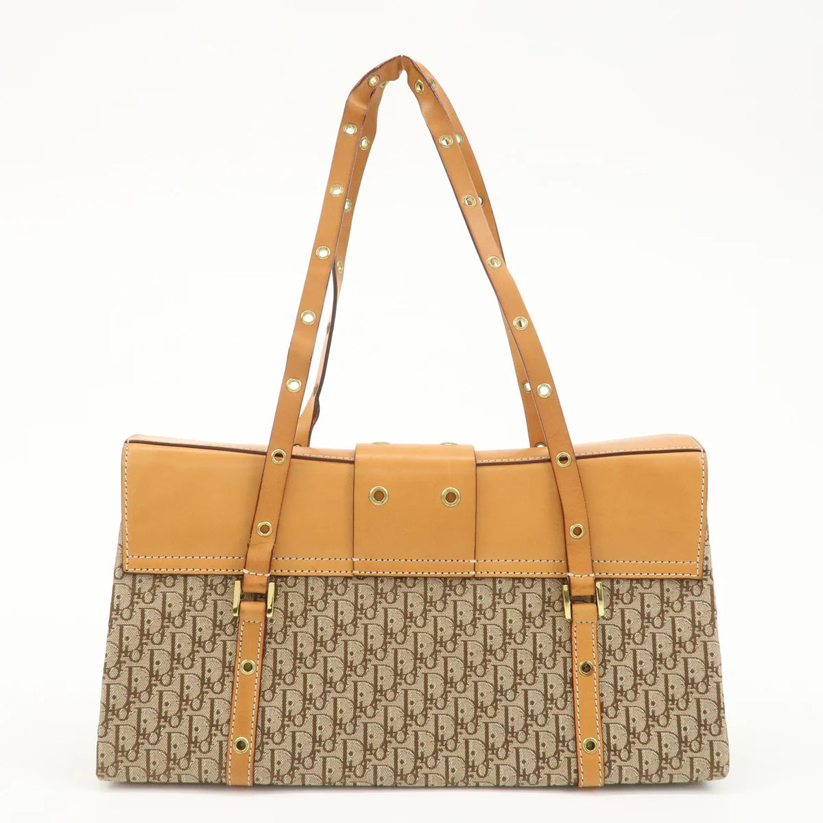 Christian Dior trotter street chic