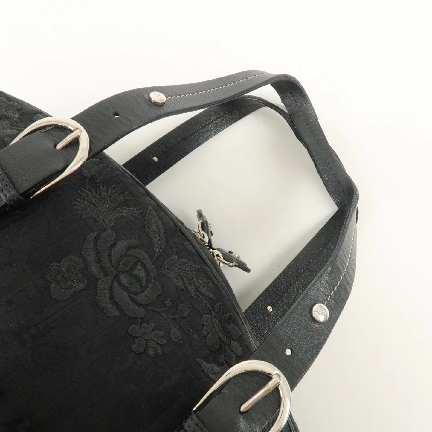 Christian Dior Trotter