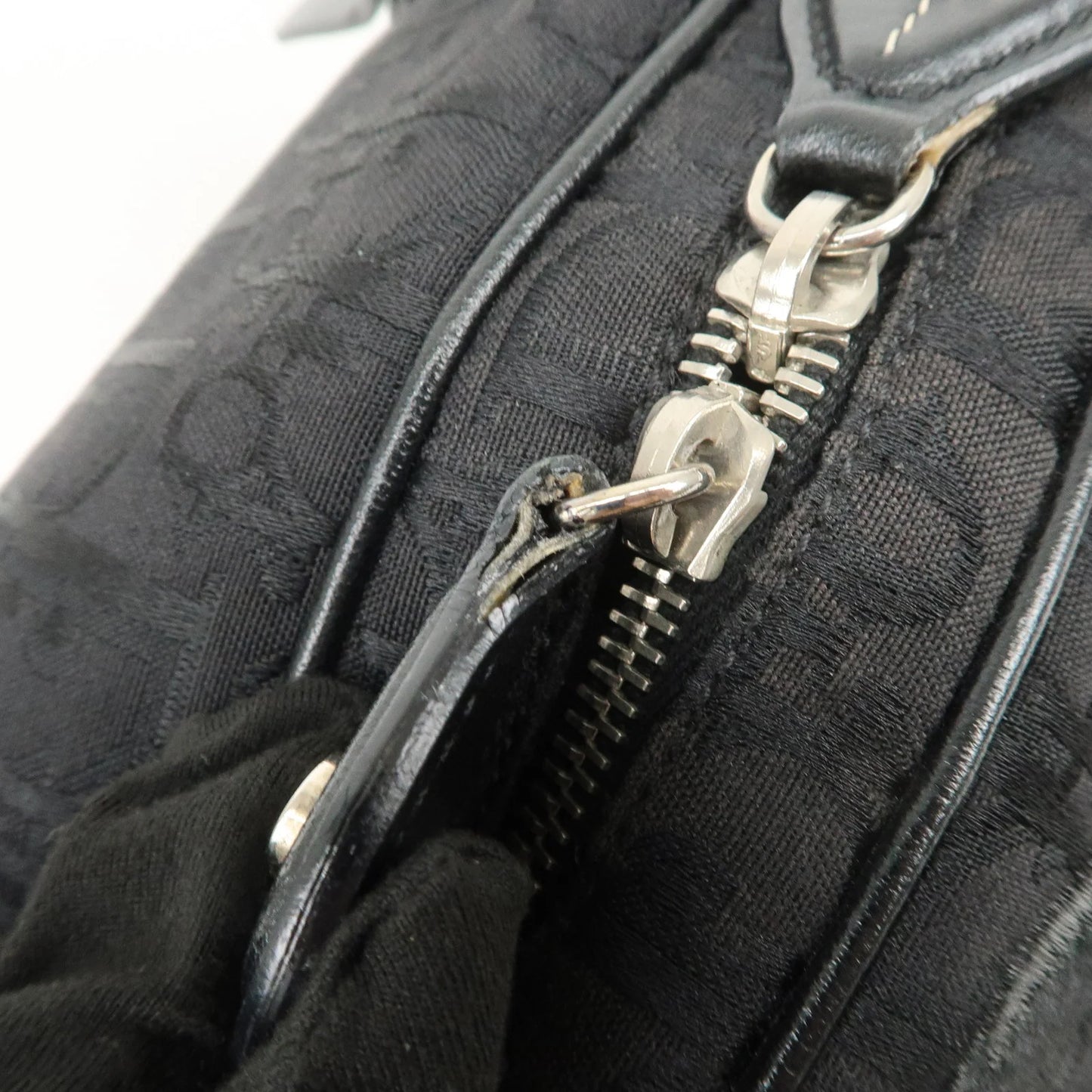 Christian Dior Trotter