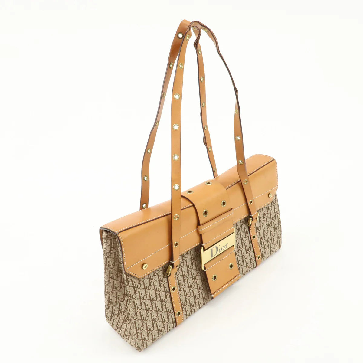Christian Dior trotter street chic
