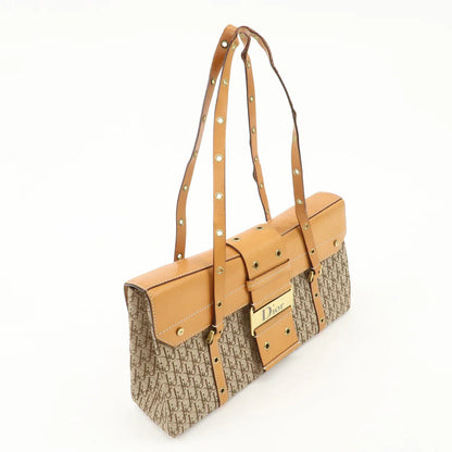 Christian Dior trotter street chic