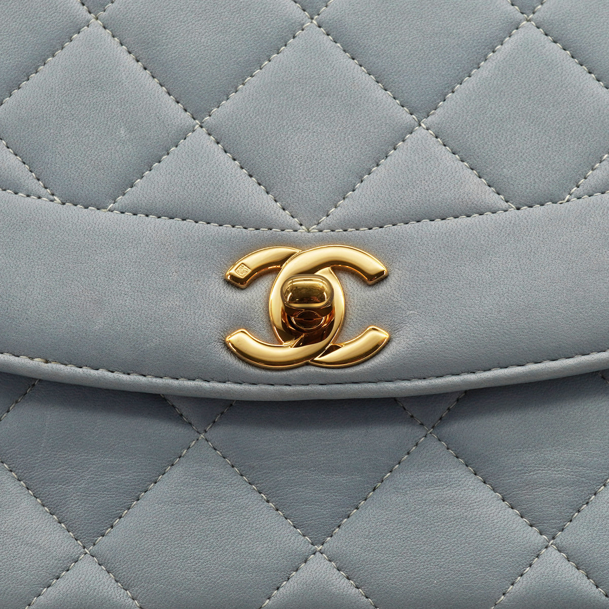 Sac Diana GM