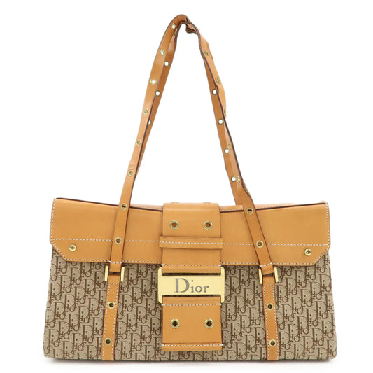 Christian Dior trotter street chic