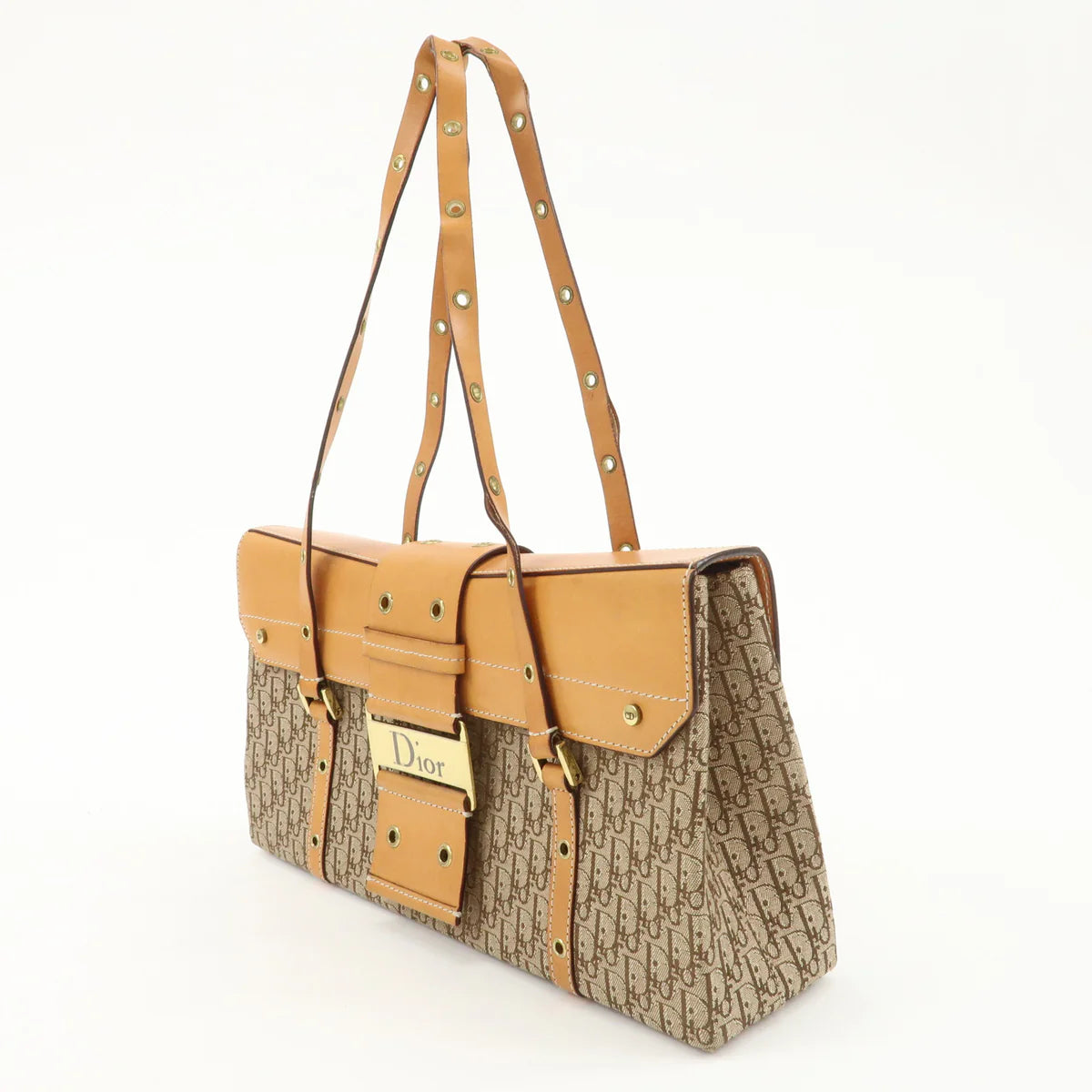 Christian Dior trotter street chic