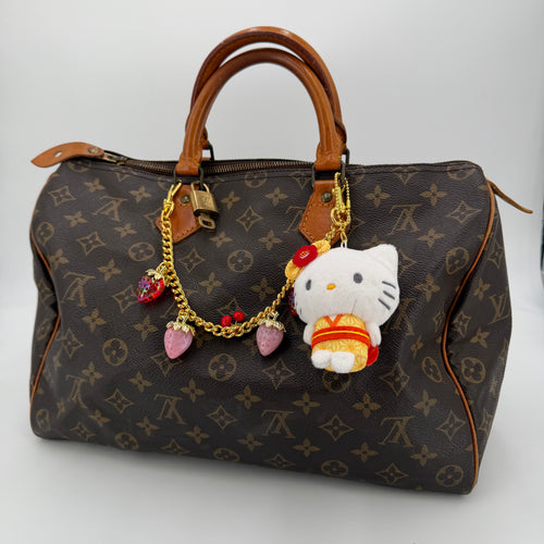 Louis Vuitton speedy 35 monogram