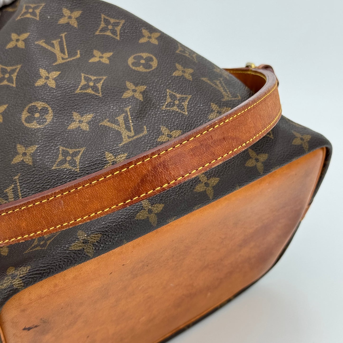 Louis Vuitton Noé MM