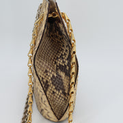 Celine shopping python