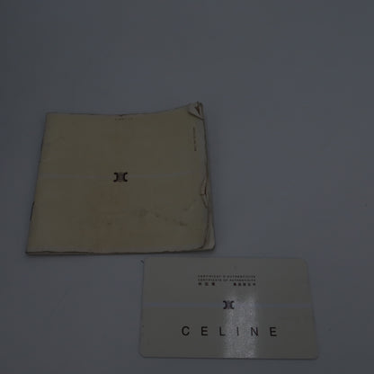 Celine Boston veau velours