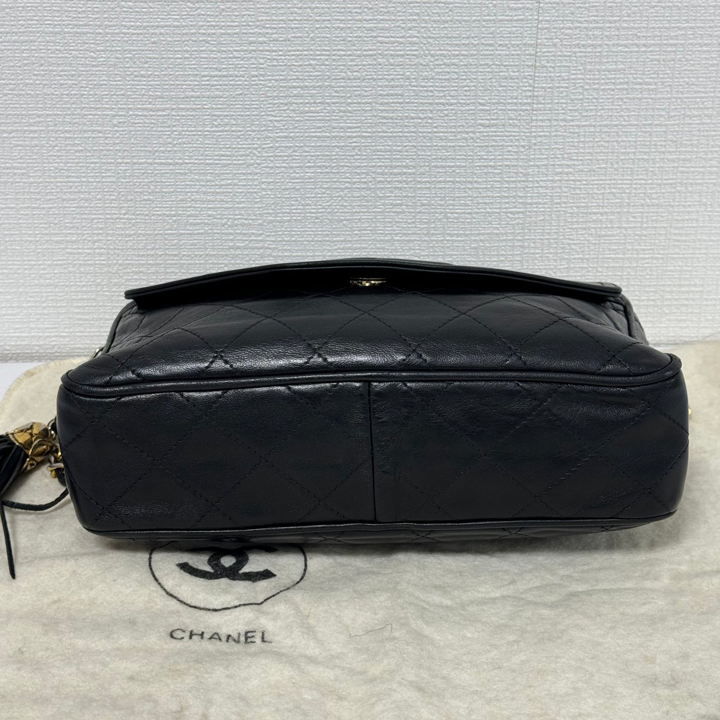 Sac Caméra Chanel Noir