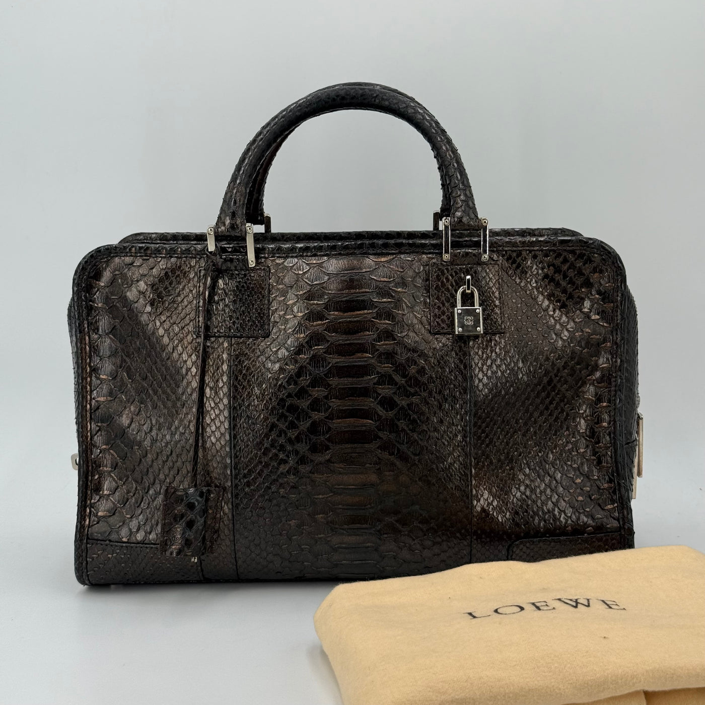 Loewe Amazona 36 - Python