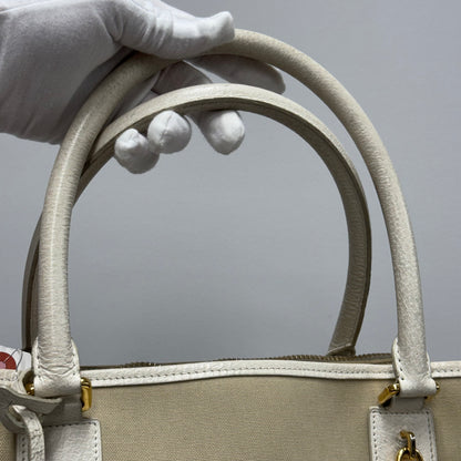 Loewe Amazona