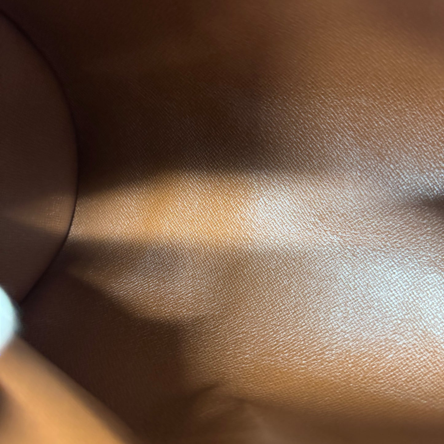 Louis Vuitton Papillon PM