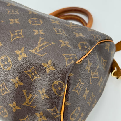 Louis Vuitton speedy 25 monogram