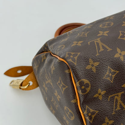 Louis Vuitton speedy 25 monogram