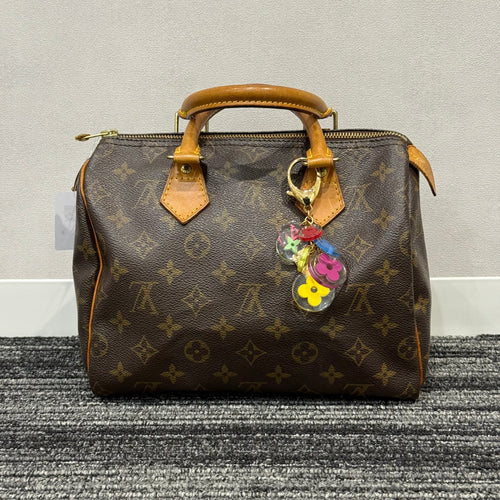 Louis Vuitton Speedy 25