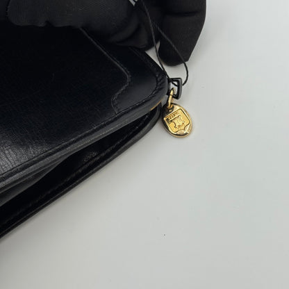 Celine pochette