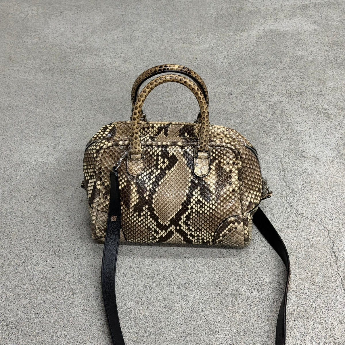 Loewe Amazona 23
