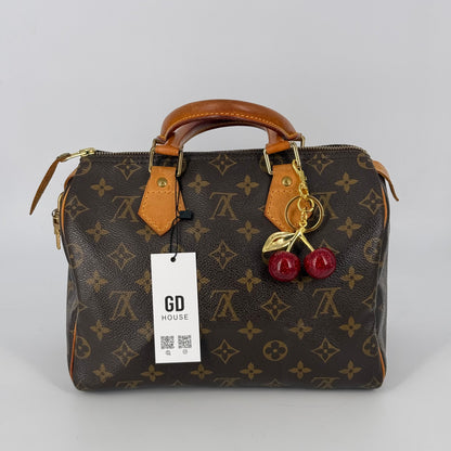 Louis Vuitton Speedy 25
