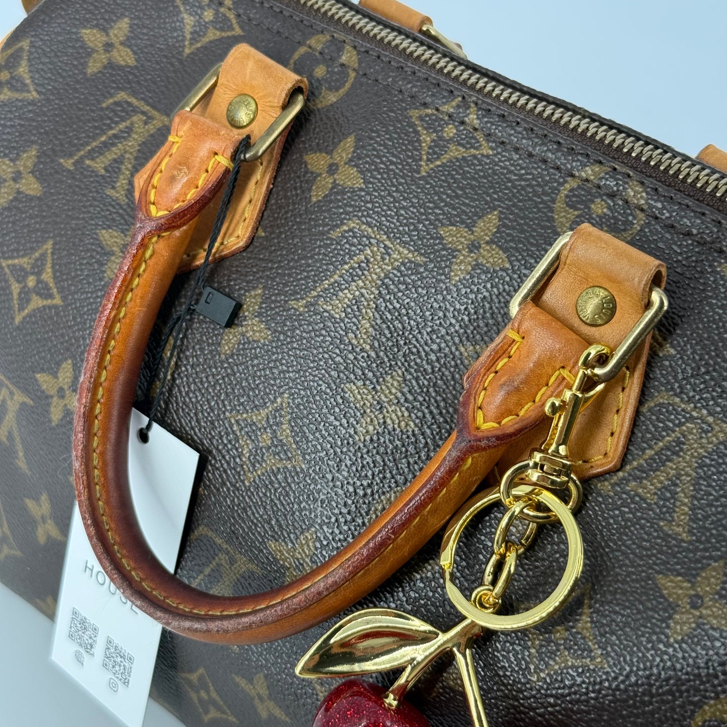 Louis Vuitton Speedy 25