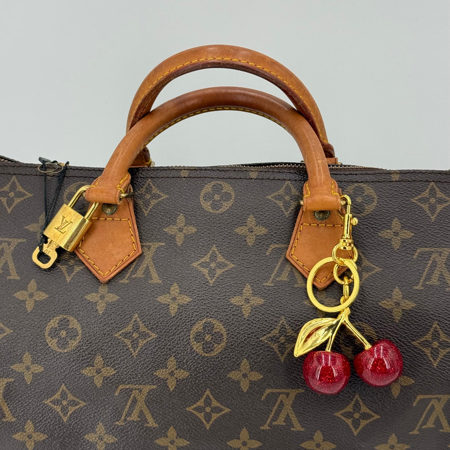 Louis Vuitton Speedy 30