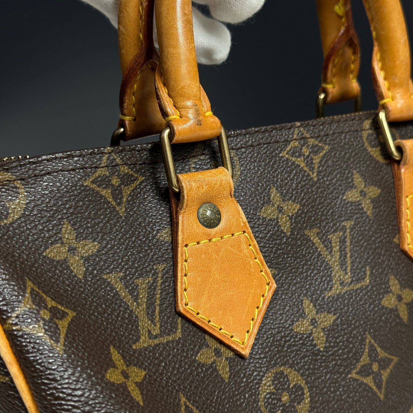 Sac Speedy 30 Louis Vuitton