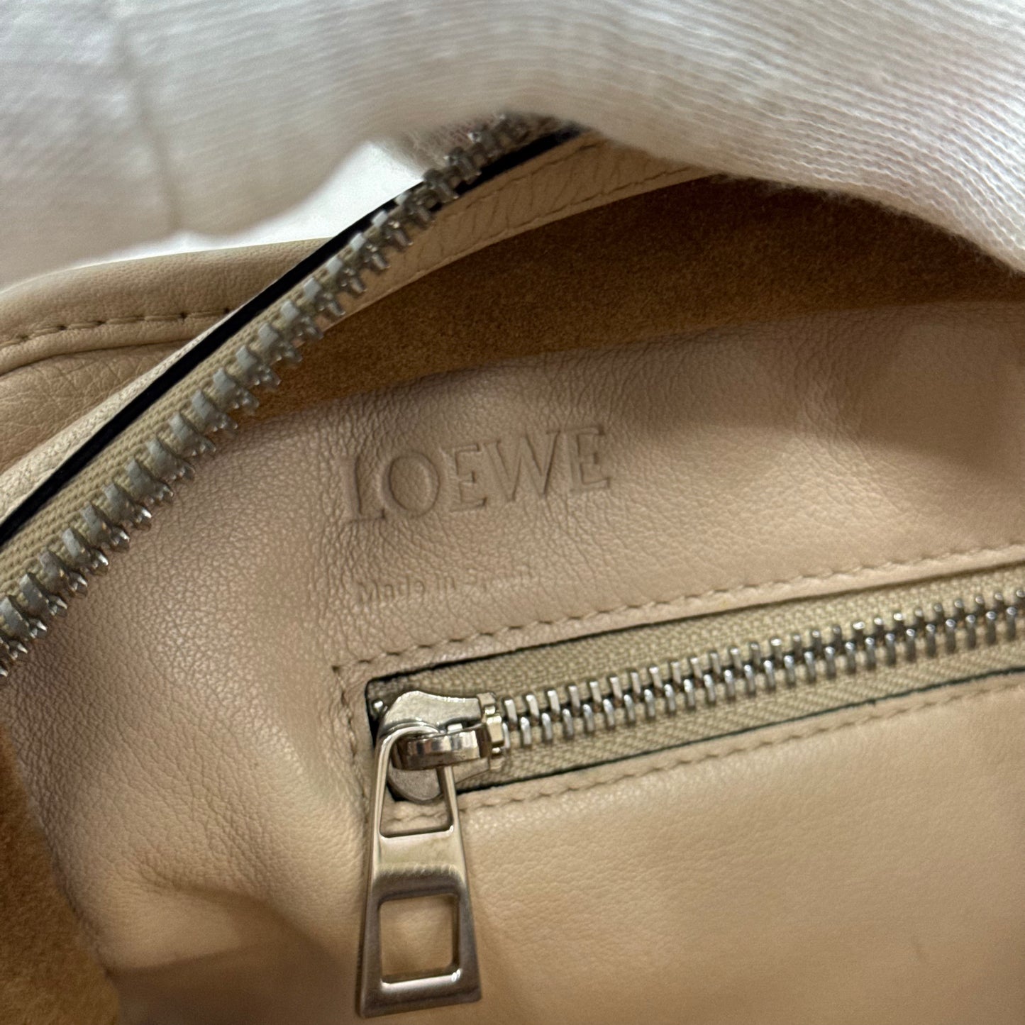 Loewe Amazona