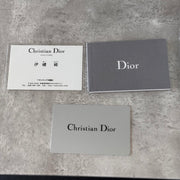 Lady Dior Silver ABCDIOR